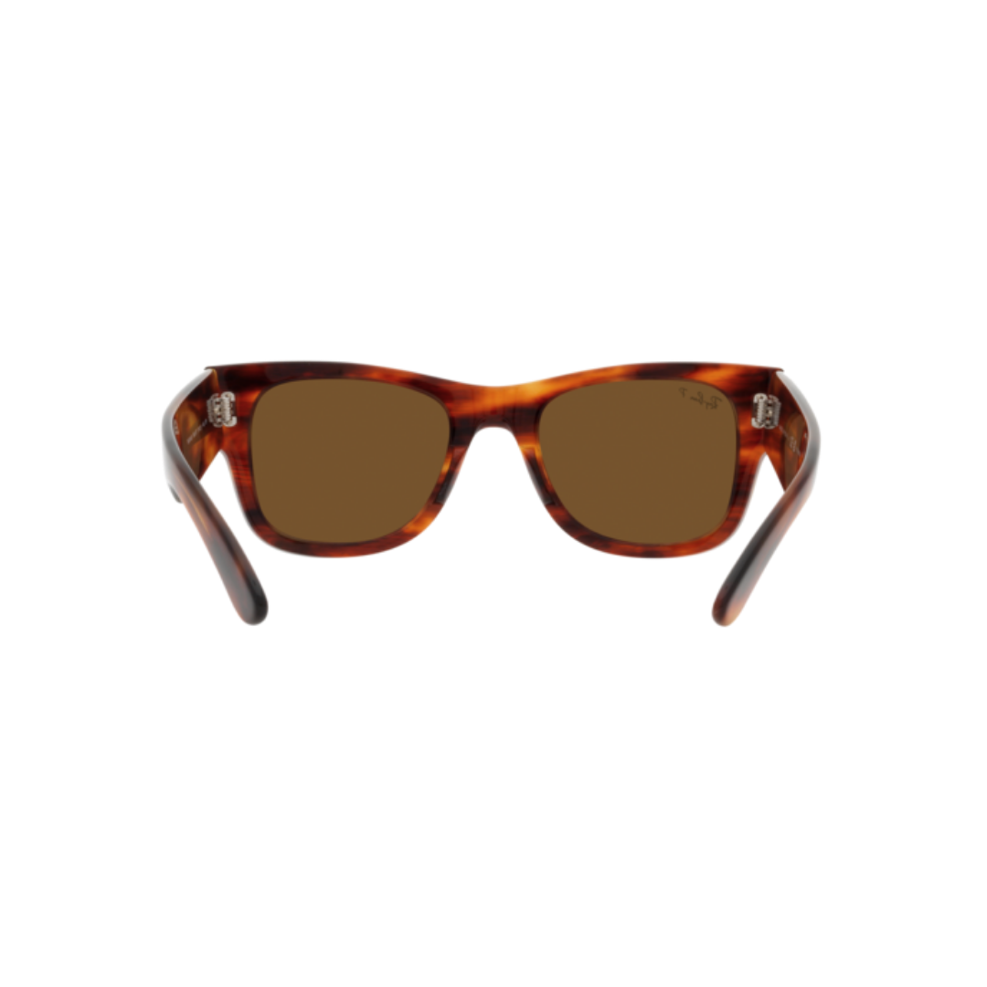 RAYBAN FRAME 0RB0840S