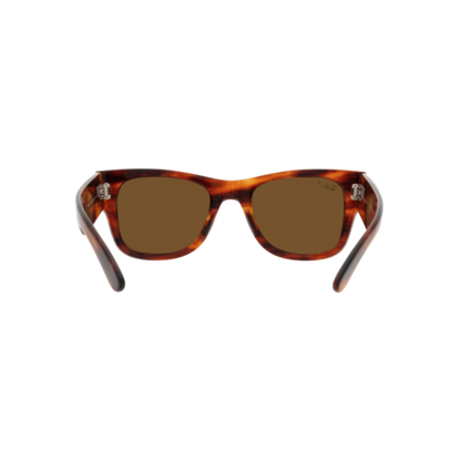 RAYBAN FRAME 0RB0840S