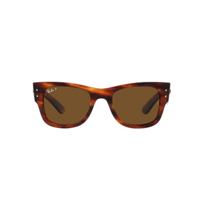 RAYBAN FRAME 0RB0840S