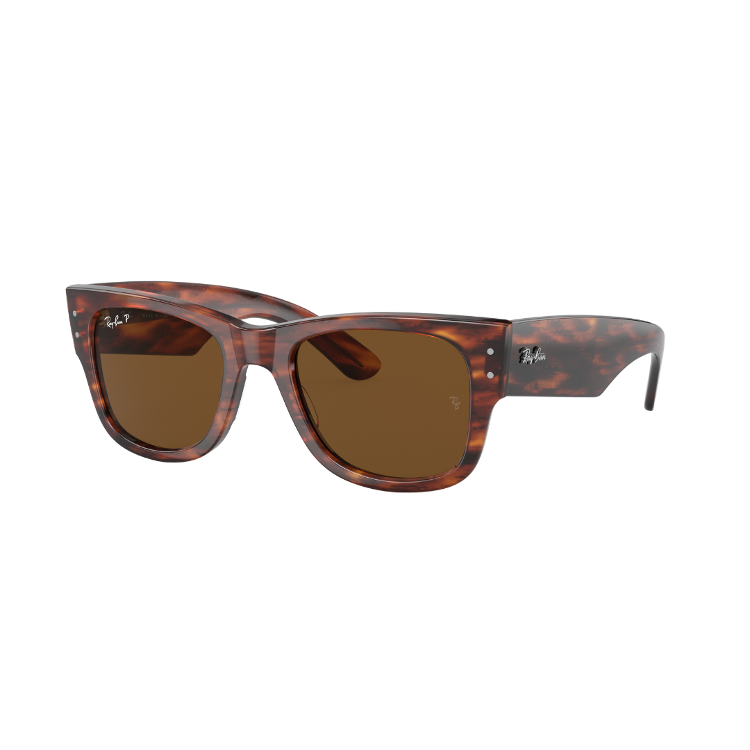 RAYBAN FRAME 0RB0840S
