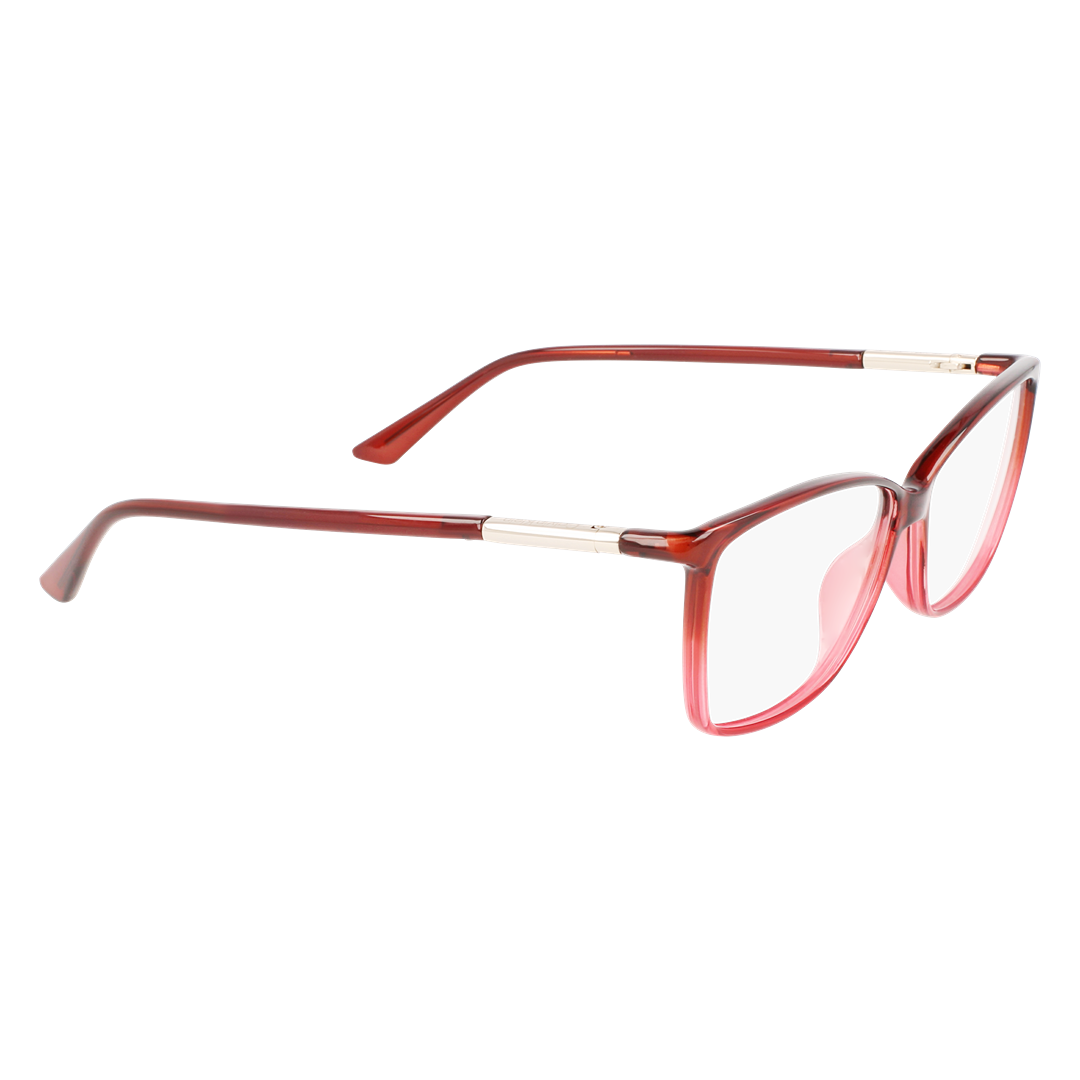 CALVIN KLEIN CK21524