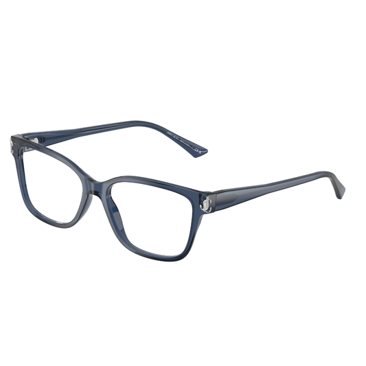 JIMMY CHOO FRAME 0JC3012