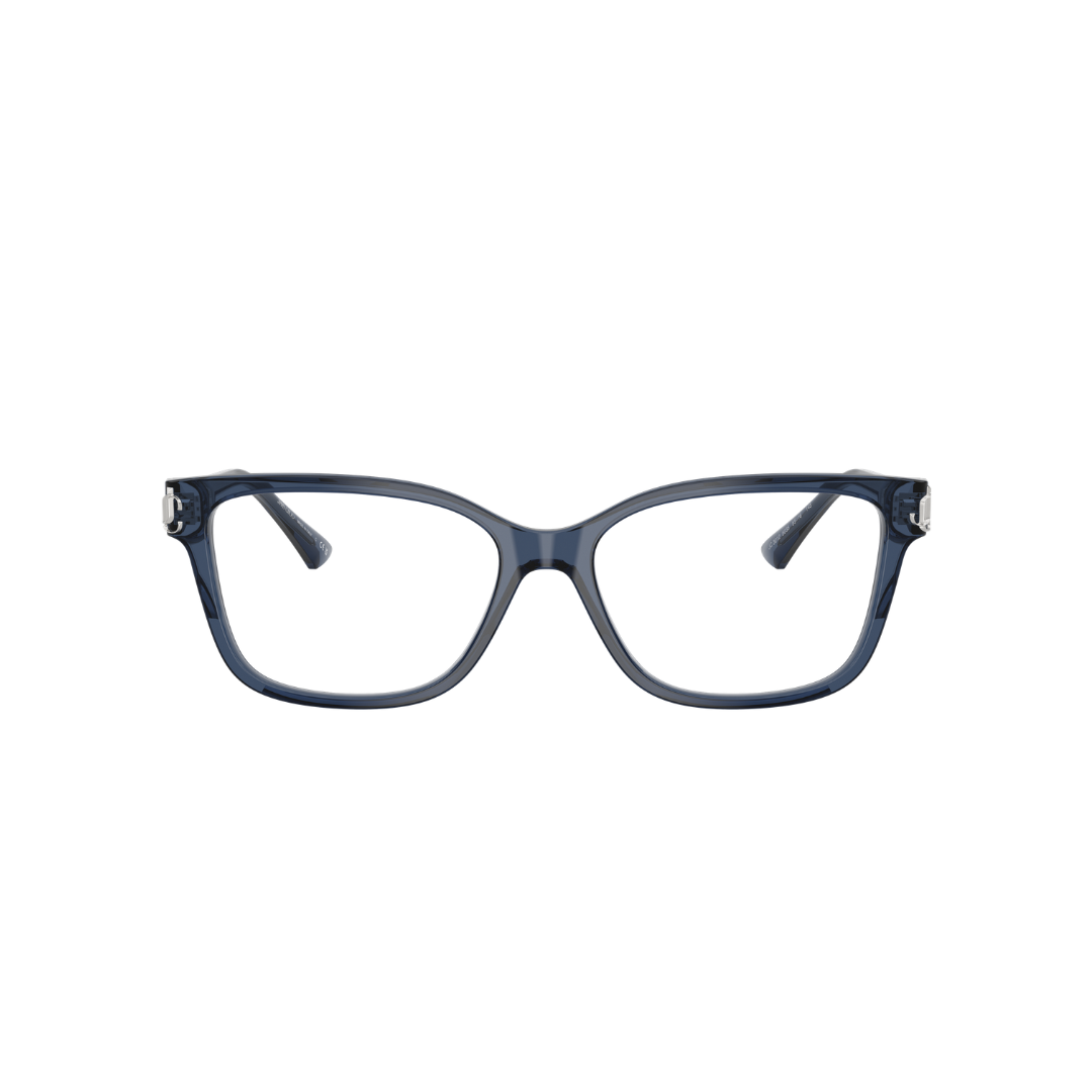 JIMMY CHOO FRAME 0JC3012