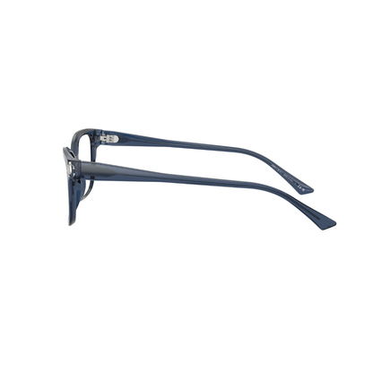 JIMMY CHOO FRAME 0JC3012