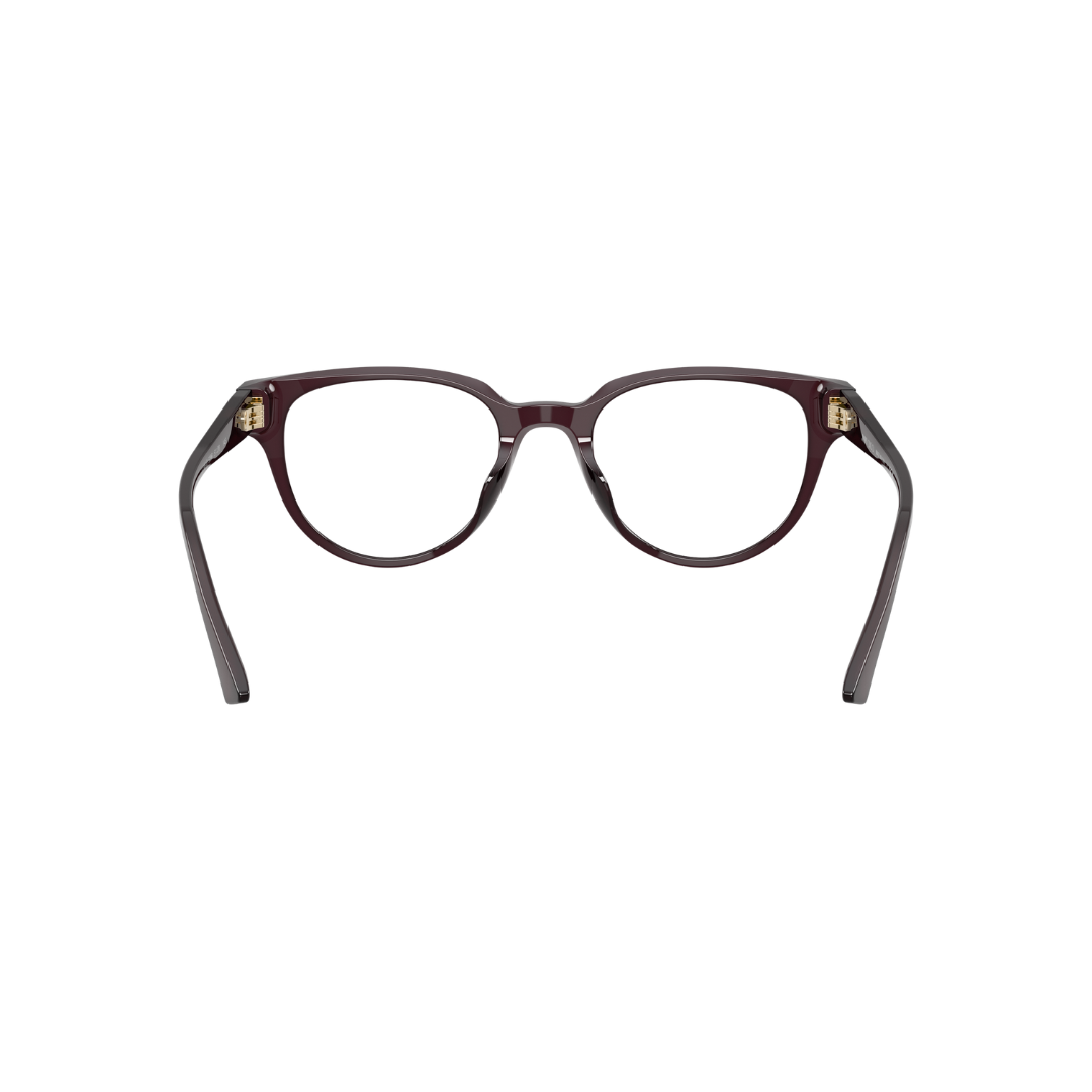 JIMMY CHOO FRAME 0JC3051D