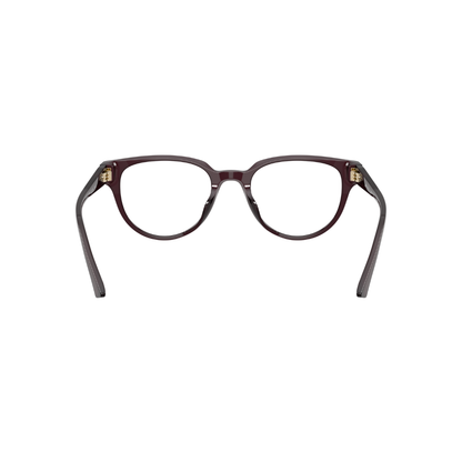 JIMMY CHOO FRAME 0JC3051D