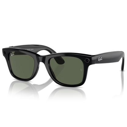 RAYBAN Meta RW4006