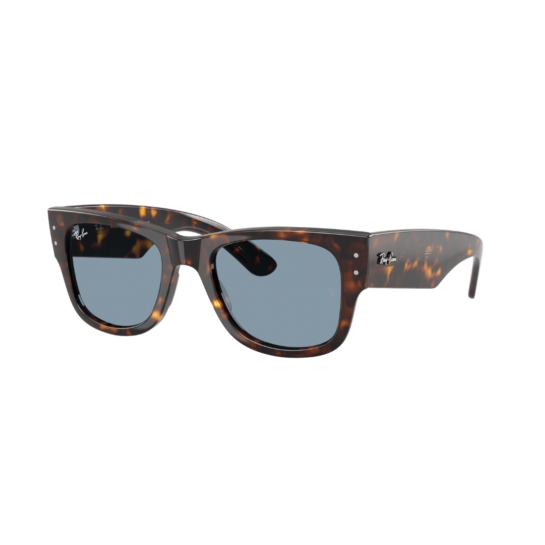 RAYBAN FRAME 0RB0840S