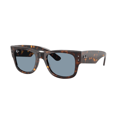 RAYBAN FRAME 0RB0840S