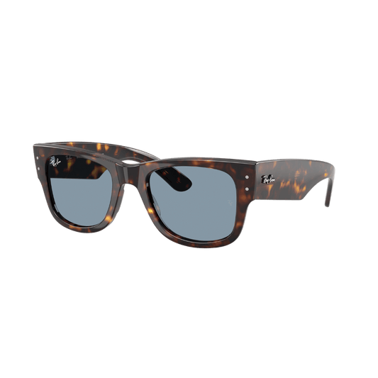 RAYBAN FRAME 0RB0840S