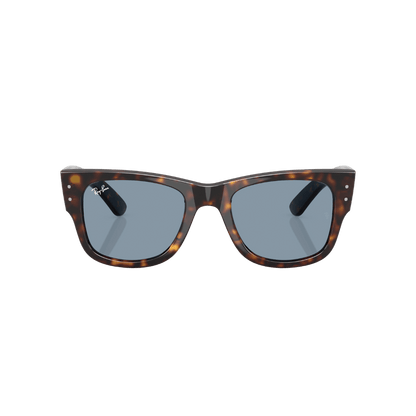 RAYBAN FRAME 0RB0840S