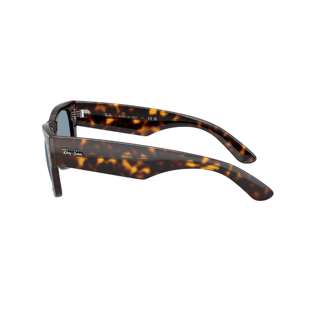 RAYBAN FRAME 0RB0840S