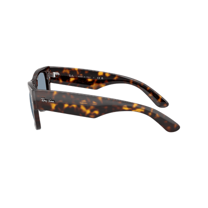 RAYBAN FRAME 0RB0840S