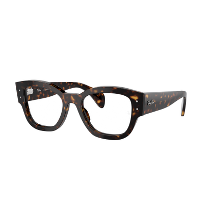 RAYBAN FRAME 0RX7681V
